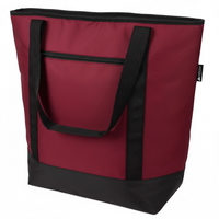 Insulated Cooler Bag