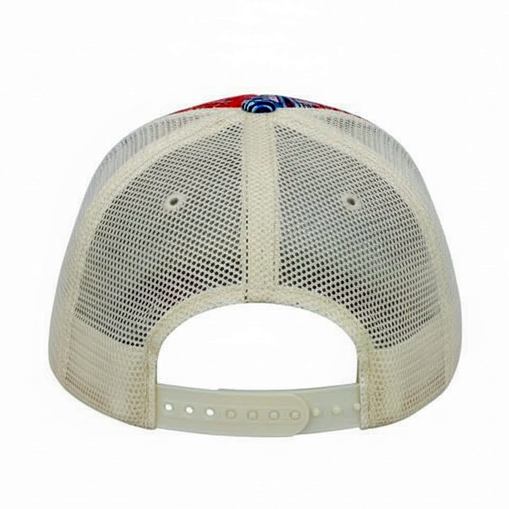 Plaid Baseball Hat
