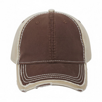 Frayed Baseball Hat