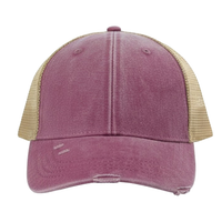 Distressed Frayed Trucker Hat