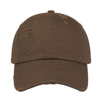Rugged Frayed Baseball Hat