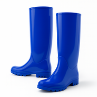 Tall Rubber Rain Boots