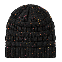 Classic Beanie Hat